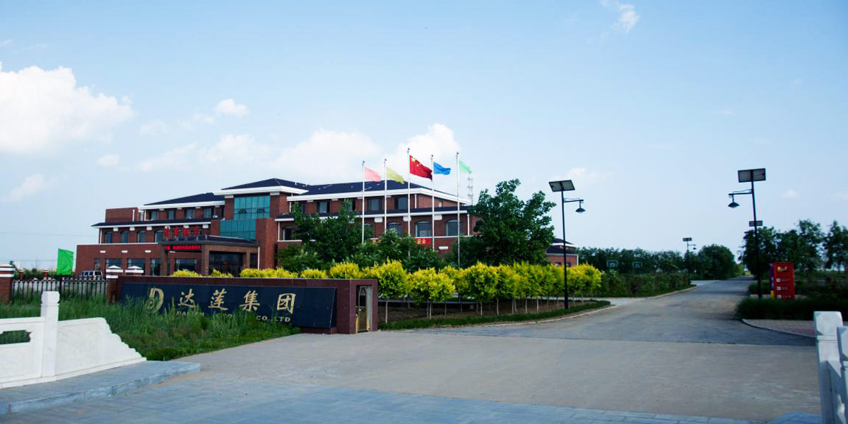 熱烈慶祝達(dá)蓮海參網(wǎng)站正式上線！