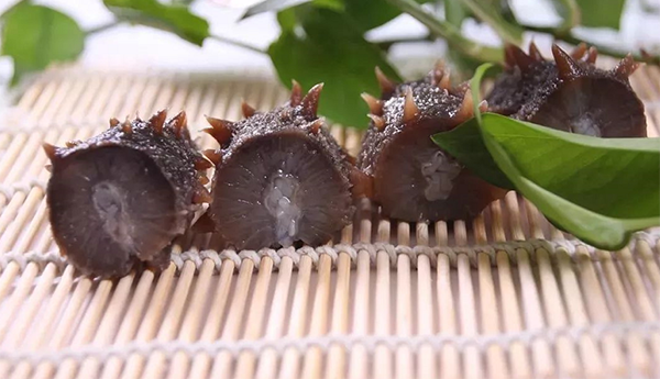 吃海參，千萬別讓海參營養(yǎng)流失了